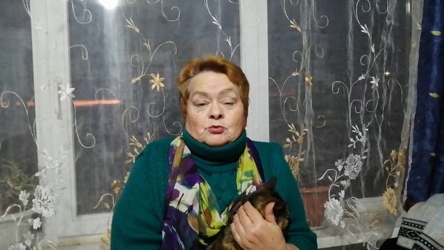 Друзьям пенсионерам. смотреть онлайн