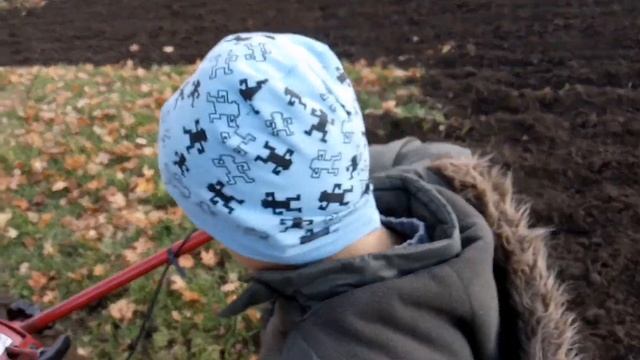 Пахота. Мотоблок "Беларус". Конец дачного сезона. смотреть онлайн