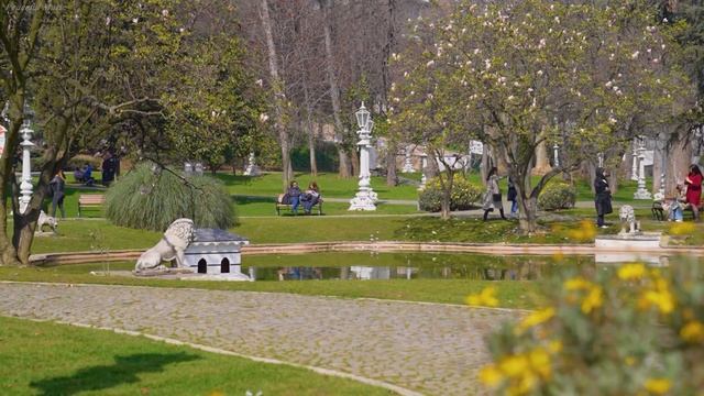 Успокаивающая музыка успокаивает нервную систему и радует душу ? целебная музыка расслабляет.