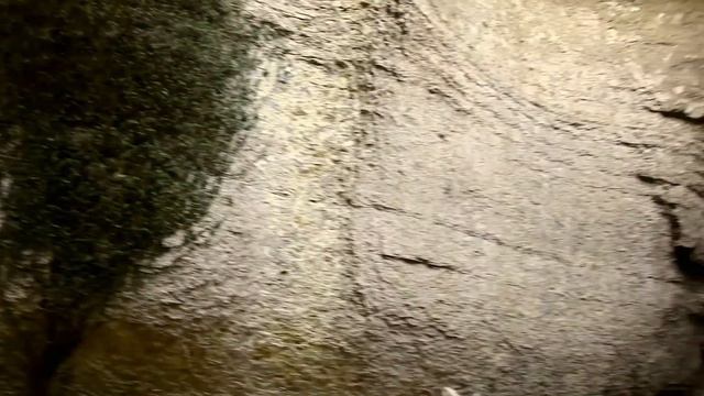 Поездки с Пашей (STAYWILD) по горам Абхазии смотреть онлайн