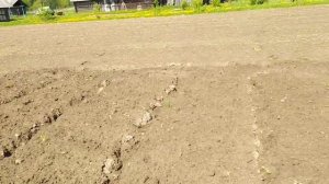 Салют 100 + картофелесажалку ВРМЗ.