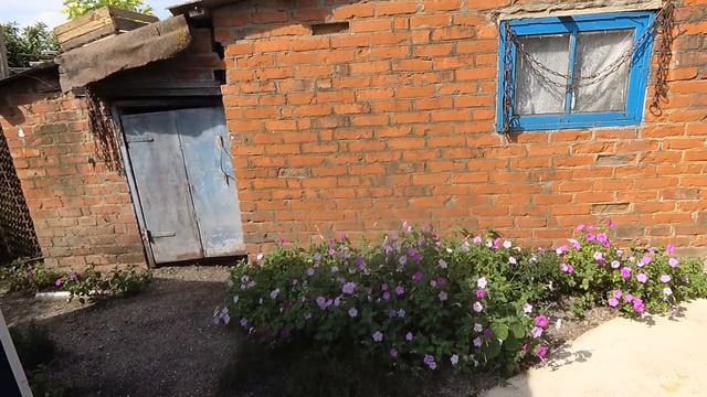 312 ч. ПЕРЕЕХАЛИ В ХУТОР. Живём своей жизнью и потихоньку радуемся каждому прожитому дню. смотреть онлайн