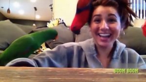 Смешные попугаи _)