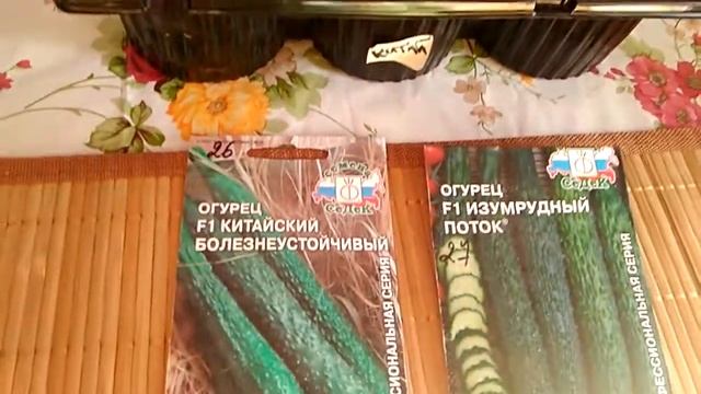 Китайские огурцы смотреть онлайн