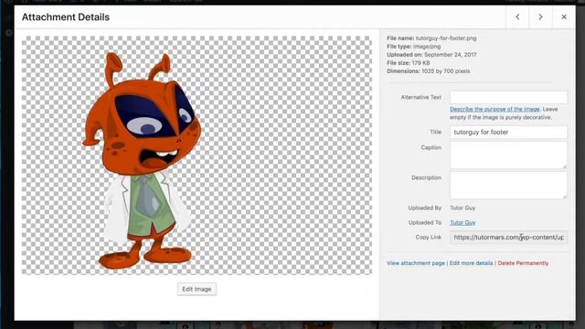How to Download a Wordpress Library image from Cpanel смотреть онлайн
