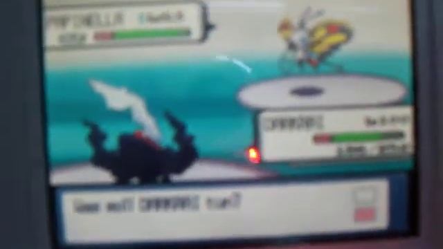 Pokemon Perl Top Vier Herbaro смотреть онлайн