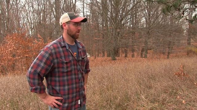 Simple off grid Cabin that anyone can build & afford смотреть онлайн