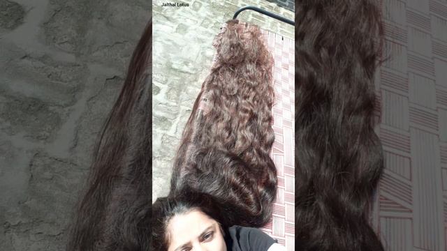 I am a long hair bird or I think i am a very long hair bird #jalthallotus смотреть онлайн
