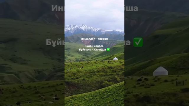 Оразаңыз қабыл болсын, ұстаған жан! смотреть онлайн