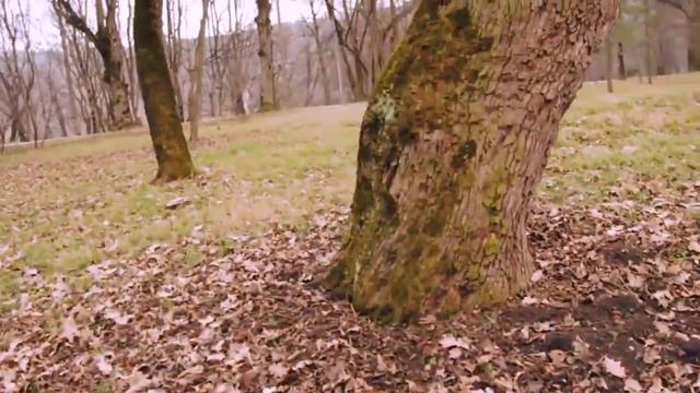 HD-love story Заур и Марьяна смотреть онлайн