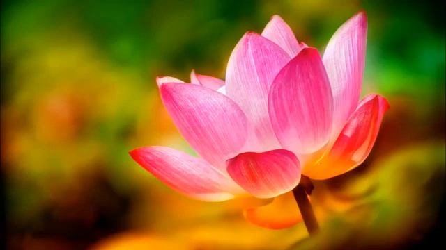 Как узнать План своей Души - Ченнелинг Иешуа через Памелу Криббе смотреть онлайн