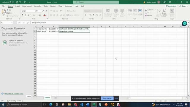 screen capture 4 смотреть онлайн