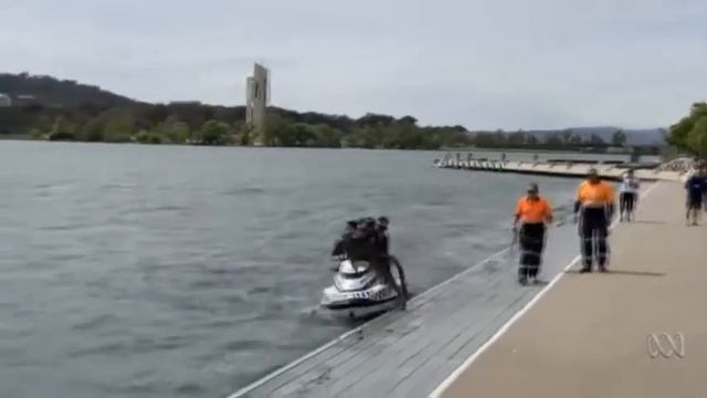 Кенгуру не хотел, чтобы полицейские его спасали смотреть онлайн