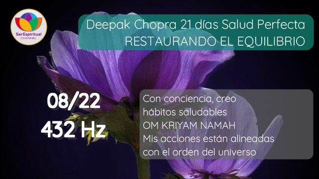 SALUD PERFECTA a 432 Hz - DEEPAK CHOPRA - DÍA 8 RESTAURANDO EL EQUILIBRIO - Meditación guiada смотреть онлайн