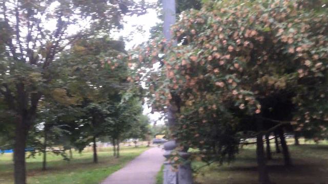 #679 #погода#деньзнаний ДЕНЬ ЗНАНИЙ 1 СЕНТЯБРЯ ПЕРВЫЙ ДЕНЬ ОСЕНИ ПОГОДА В МОСКВЕ смотреть онлайн