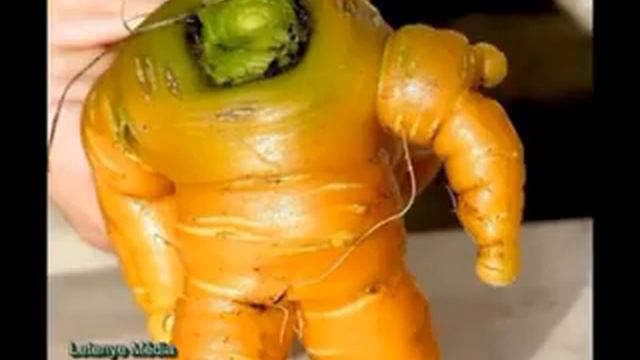 Большие и странные растения мира .