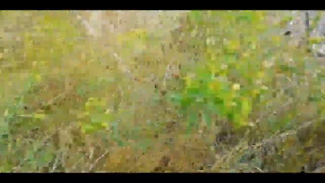 Коп железа (удачный выезд, отличные находки, итог 830кг) смотреть онлайн