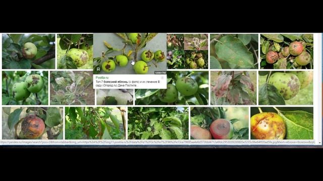 # 1 СПАСЕНИЕ УТОПАЮЩИХ чьих РУК ДЕЛО? ПОЧЕМУ из ВОДЫ спасать ОПАСНЕЕ чем из ОГНЯ? смотреть онлайн