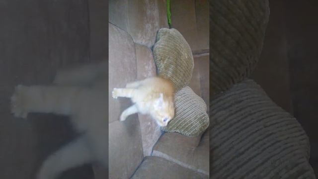 Злыдень смотреть онлайн