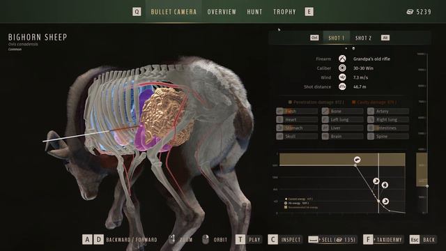 Easy Money Making Guide - Way Of The Hunter FULL HUNT PC 2024 смотреть онлайн