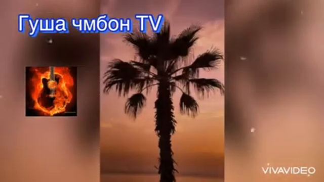 Репи пальма - Corleone