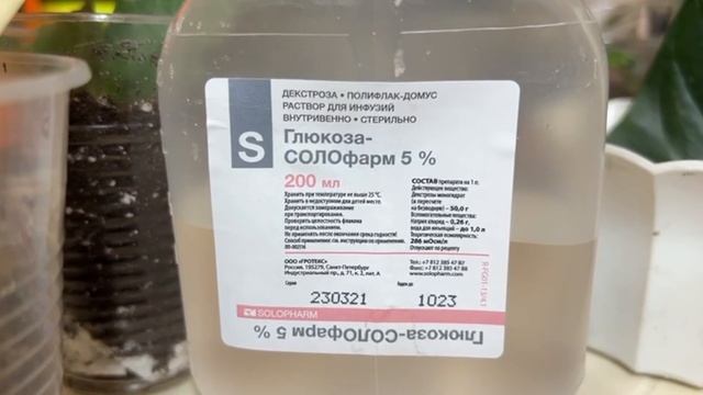 От этой подкормки герань оживет, даже безнадежный цветок пойдет в рост. Народный рецепт смотреть онлайн