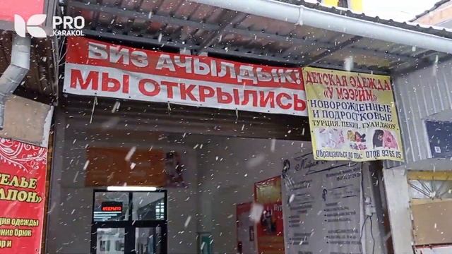 Продаются 2 места на рынке Ак-Тилек + | PRO Каракол | Иссык-Куль смотреть онлайн