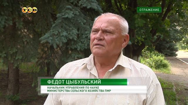 Полив и полевые заботы: уборочная стартовала