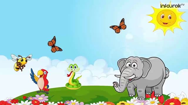 Царство Животные