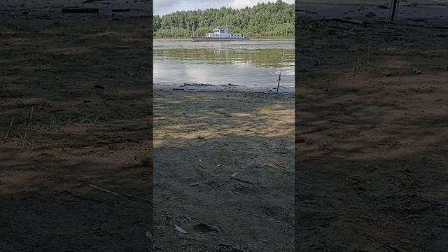САЗАН, ЗАВЕРШЕНИЕ смотреть онлайн