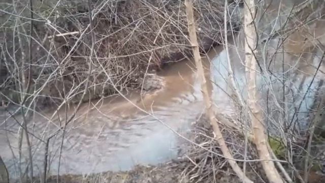 Разборка бобровой плотины Надеюсь окончание смотреть онлайн