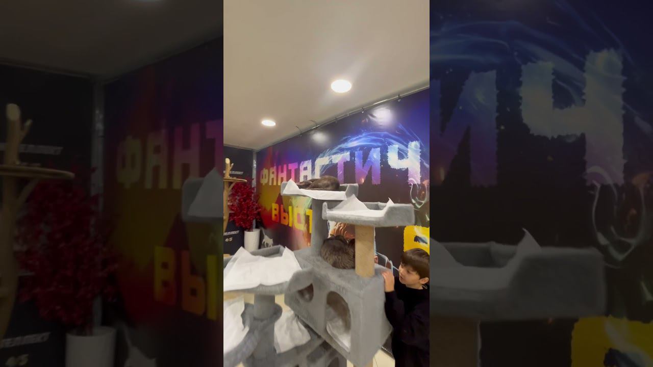 Мэйн-кун смотреть онлайн