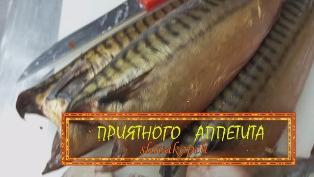скумбрия холодного копчения без головы смотреть онлайн