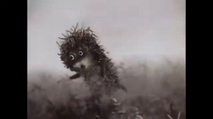 Ёжик в тумане.