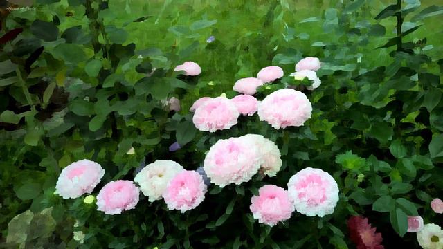 Impressionism - Satie, Ravel, Debussy, Faure смотреть онлайн