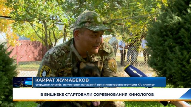 В БИШКЕКЕ СТАРТОВАЛИ СОРЕВНОВАНИЯ КИНОЛОГОВ смотреть онлайн