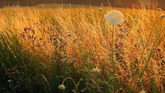 Народные приметы на 18 августа. смотреть онлайн