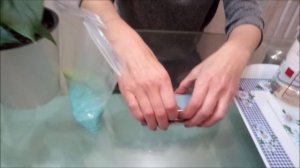 Чем и как подкормить антуриум, минеральные удобрения