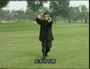 Инь ши Багуачжан. Ч 3