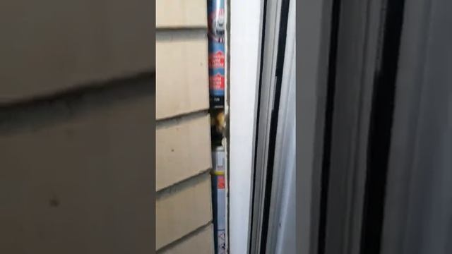 Как сэкономить монтажную пену. (лайфхак от застройщика)