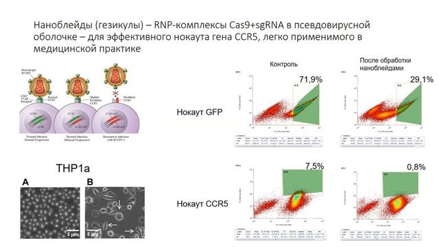 Дашинимаев Эрдем: Доставка CRISPR/Cas9 в экзосомах или псевдовирусных частицах смотреть онлайн