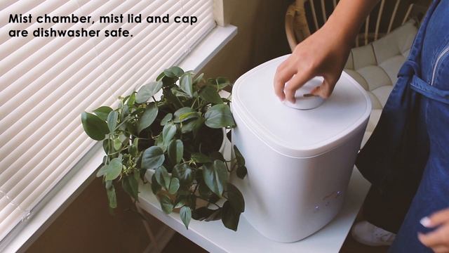 Crane Top Fill Humidifier - Features смотреть онлайн