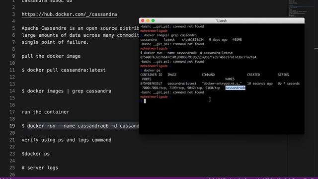 Cassandra database docker development environment setup смотреть онлайн