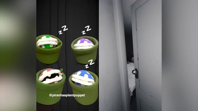 Piranhaa Plants getting SCARED for 10 minutes straight смотреть онлайн