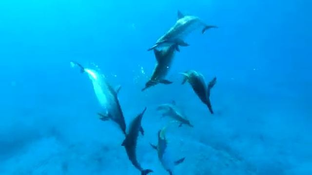 Расслабляющая музыка ? лечебная музыка для сердца и сосудов, релакс, музыка для души смотреть онлайн