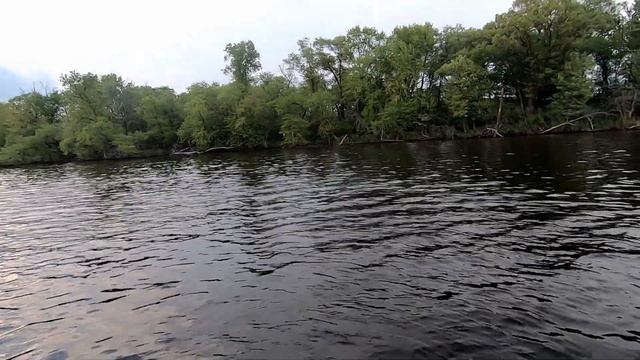 Spring Bluegills on Lake Onalaska of the Mississippi River смотреть онлайн