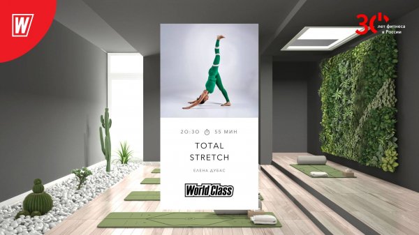 TOTAL STRETCH с Еленой Дубас | 28 ноября 2023 | Онлайн-тренировки World Class