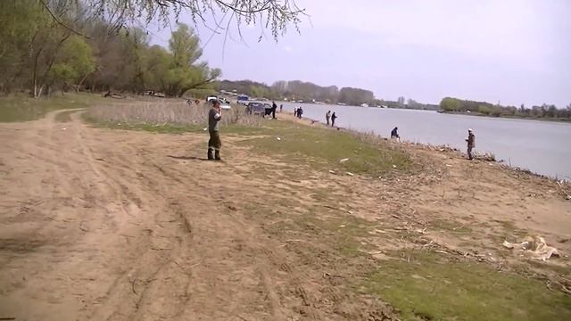 За воблой! смотреть онлайн