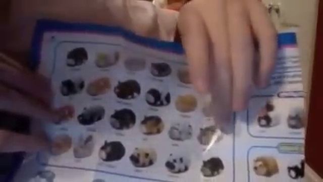 Unboxing/Reviewing Spottie Zhu Zhu Pets! Version 3! смотреть онлайн