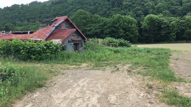 Portraits of Hokkaido; FILM CHALLENGE Ep. 9 смотреть онлайн